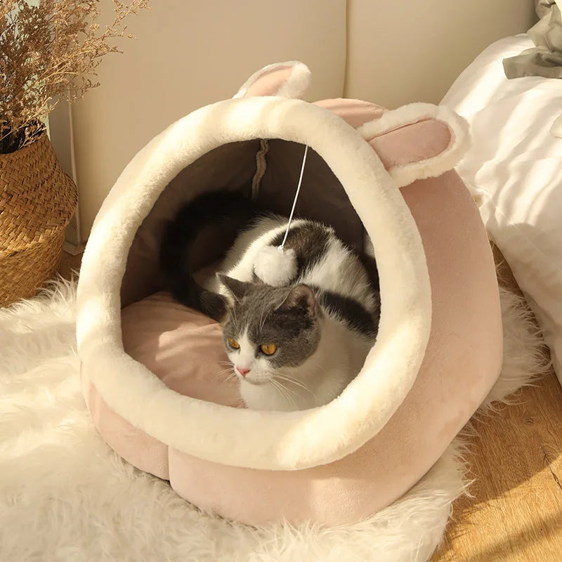 Cama para gatos com estampa animada - dobrável, removível e lavável